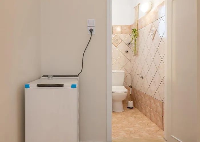 Artemisia * Miasto Kos